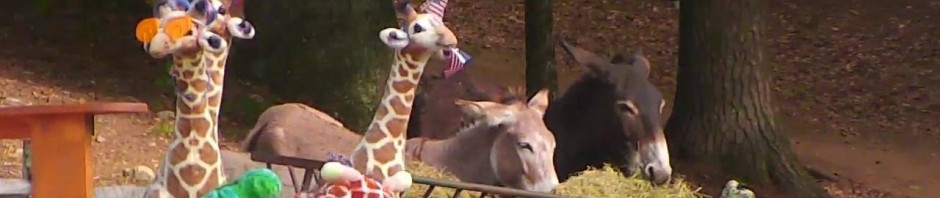 12032688_1099122396765331_6929862194781491220_o